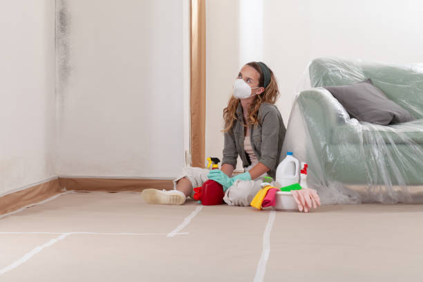 Reliable Commercial Mold Remediation contractor in Fairview, OR by Mold Remediation HQ