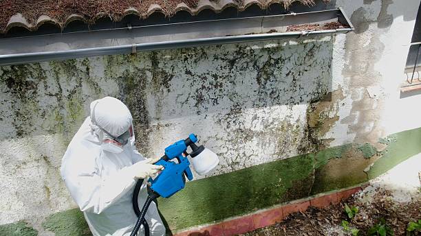 Top rated local Commercial Mold Remediation specialists in Fairview, OR